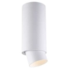 Downlight LAMPA sufitowa SCOPE ACGU10-144 Zumaline metalowa OPRAWA regulowana tuba okrągły spot biały