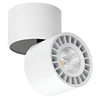 Regulowany downlight pokojowy Herios LED 12W 3000K tuba z regulacją biała