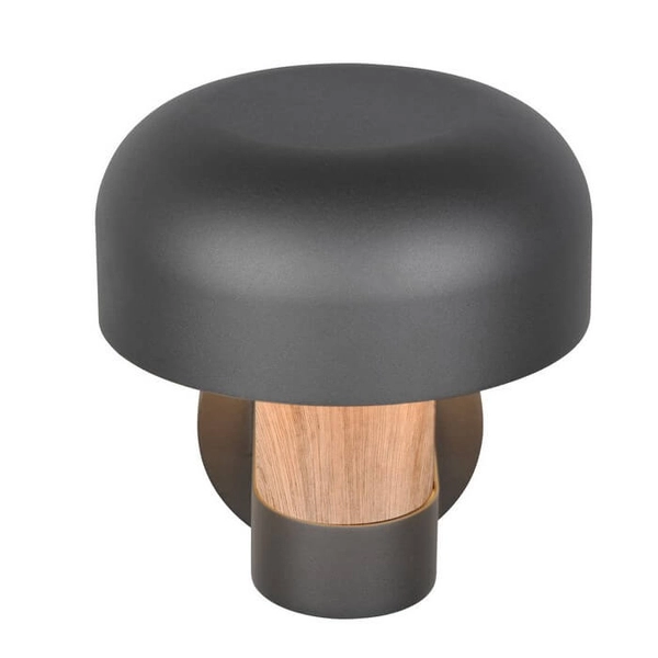 Zewnętrzna lampa ścienna FRASER 262569135 na elewację IP54 szara