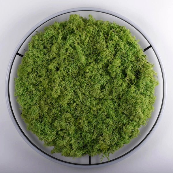 Lampa sufitowa salonowa GREEN RITU 15392-66 LED 28W 3000K zielony