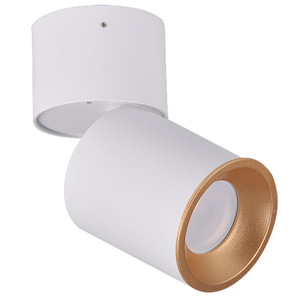Regulowana lampa sufitowa Nixa downlight tuba biała złota