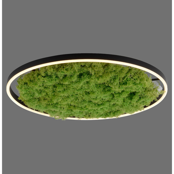 Lampa sufitowa salonowa GREEN RITU 15392-66 LED 28W 3000K zielony