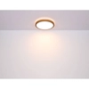 Okrągła lampa sufitowa Sammi 41765-12 Globo LED 12W 6000k metal biały