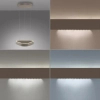 Wisząca lampa ze zmienną barwą Q-STRETTO brązowa 2689-97 1xLED 38W 2200-5000K regulowana