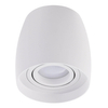 Lampa nasufitowa Rotondo AZ4207 downlight tubka biała