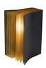 Dekoracyjna LAMPA stojąca EXTRAVAGANZA LIVRET 78596/01/30 Lucide metalowa LAMPKA biurkowa książka czarna złota