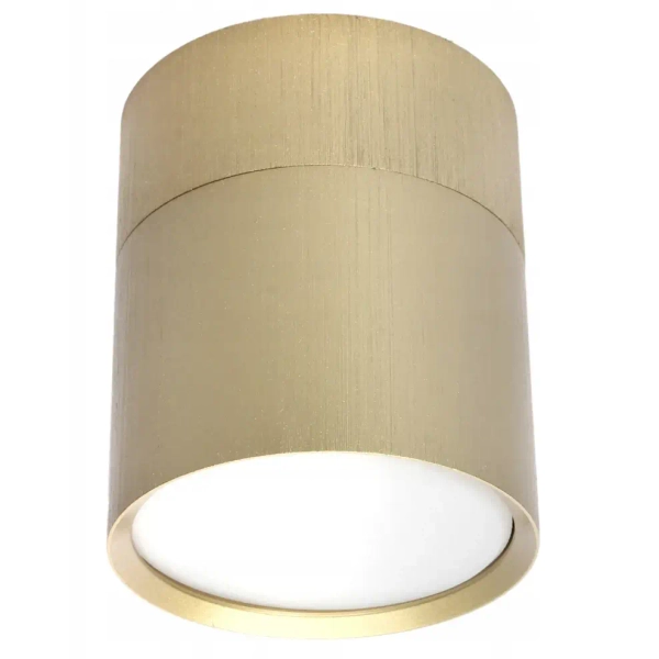 Downlight do salonu PZE-9001 CGG53PZE-9001 ruchoma tuba złota