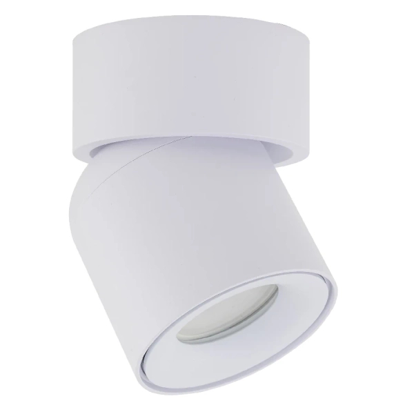 Spot sufitowa lampa punktowa Twist 10576 regulowana metalowa biały