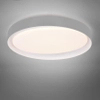 Sufitowa lampa Zeta R62712411 RL Light LED 24W 2700-6500K szara biała