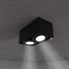 Podwójna lampa sufitowa Plaza ML4746 metalowa natynkowa czarna