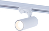 Szynowy reflektor Abigali RSL3B12WW-36 3-faz czarny 