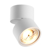 Sufitowa lampa Lomo 20001-WH-N  Zumaline regulowany spot do salonu biały