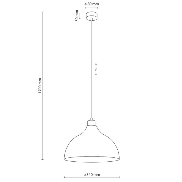 Lampa zwisowa do przedpokoju Cap 5901 kopuła metalowa drewniany miętowy