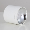 Lampa sufitowa Roller DLW10WW tuba LED 10W 3000K do przedpokoju biała