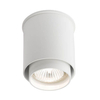 Tuba LAMPA sufitowa IGA 7014 Shilo natynkowy downlight spot metalowy biały
