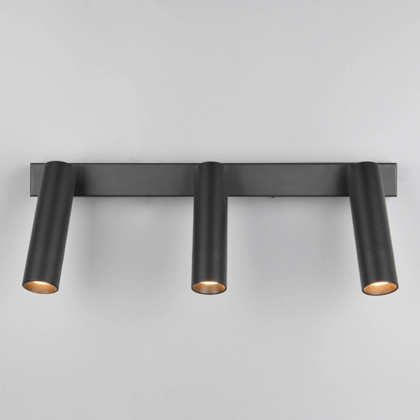 Sufitowa lampa do salonu AMBALA 849210332 Trio LED 5,5W 2300-4000K czarny