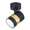 Regulowana lampa przysufitowa Antillo LP-770/1W BK metalowa do sypialni czarny złoty