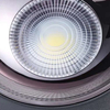 Okrągła lampa sufitowa Vaiolett DL15B-NW downlight LED 15W 4000K czarny
