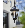 Lampa wisząca latarnia Drayton YG-3503 Endon IP44 przezroczysty czarny