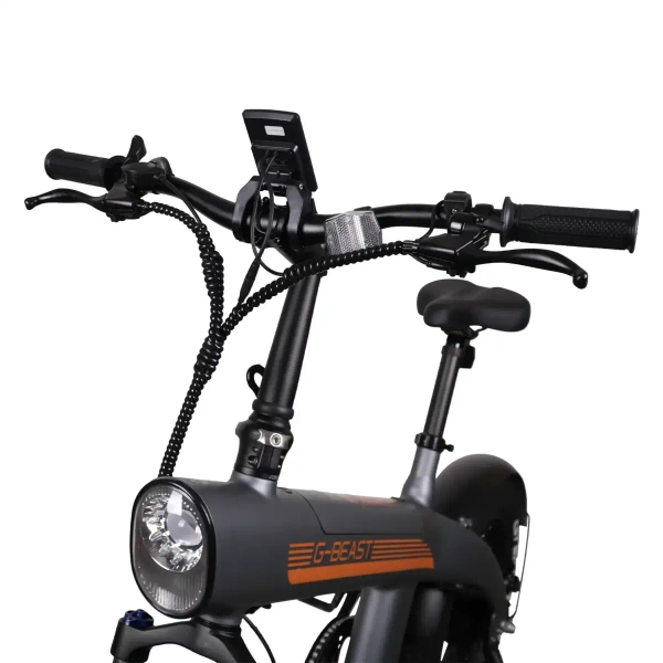 Elektryczny rower Goldbike 326935 20" 36V 10Ah 250W do 75 km czarny