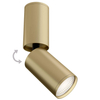 Sufitowa LAMPA plafon FOCUS S C051CL-01MG Maytoni metalowa OPRAWA kinkiet tuba regulowana matowa złota