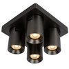 Downlight lampa sufitowa NIGEL 09929/20/16 regulowana czarna outlet