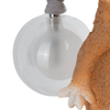Dziecięca lampka nocna Verka TL0106 WIEWIÓRKA animals biały pomarańczowy