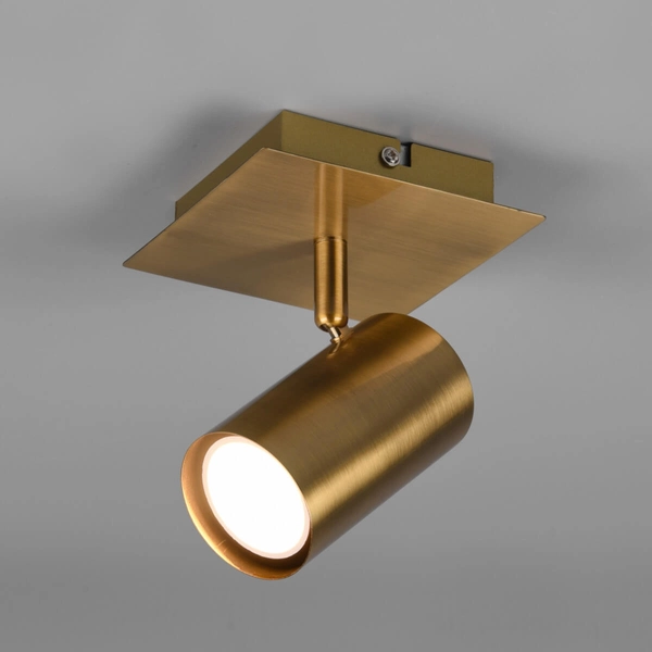 Sufitowa lampa reflektor VANTOS DL104802400 Trio tubka do holu mosiądz