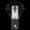 Lampa elewacyjna HORACE 31355S Globo druciana outdoor metalowa IP44 czarna