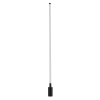 Ogrodowa lampa ze szpikulcem ZURI LED 11547 LED 12W 3000K czarna