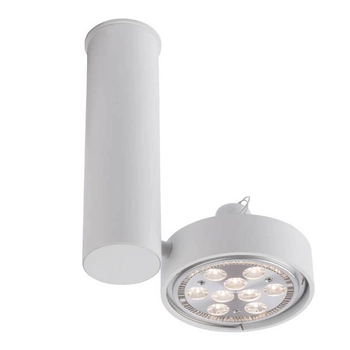 Reflektorowa LAMPA sufitowa NATORI 7209 Shilo regulowana OPRAWA metalowa SPOT tuba biała