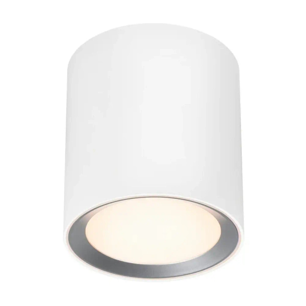 Lampa sufitowa tuba LANDON 2110670101 LED 6,5W 2700K IP44 biały