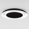 Okrągła lampa sufitowa CAPINOTA LE44802 LED 38W 2700-4000K czarny biały