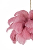 Lampa wisząca Tiffany JD0019.PINK strusie pióra różowe