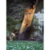 Regulowany reflektor wbijany do ogrodu Taurus 77029934 IP54 srebrny