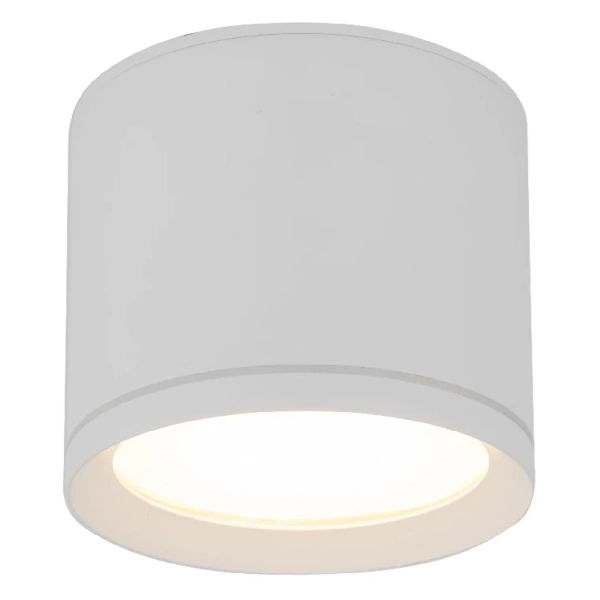 Downlight sufitowy do kuchni Viwo 10595 tuba nad blat IP44 biały