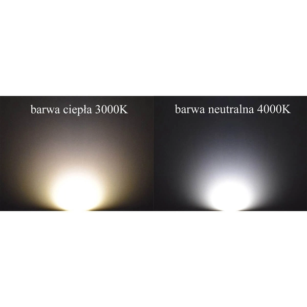 Okrągła lampa sufitowa Cleo 1307623600462 Temar LED 69W 4000K czarna