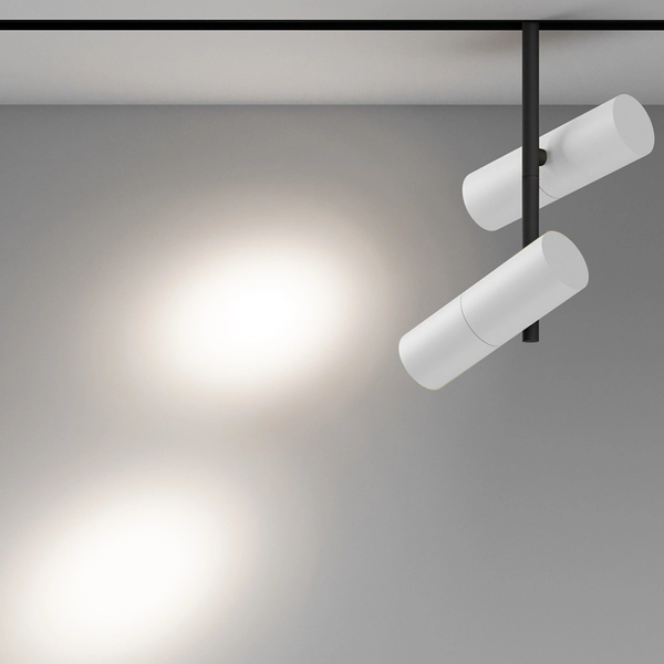 Lampa do szyn magnetycznych Elti TR005-4-2X12W-DS-BW LED 24W 2700-6000K tuba biała czarna