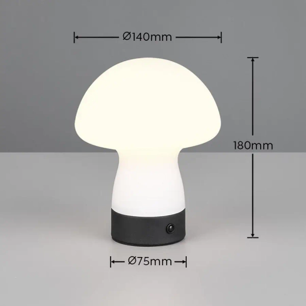 Stołowa lampka grzybek DOOLEY R54981131 LED 1,5W 3000K biały szary