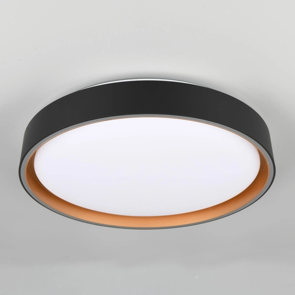 Okrągła lampa sufitowa Felis R64391080 LED 24W 2700-6500K czarny złoty