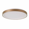 Metalowy plafon Vico PLF-53675-058RC-GD-3KS4K-TRDIMM Italux LED 48W 3000-4000K złoty