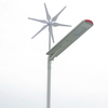 Uliczna lampa Windsun WS-50W+FA1M+SO4M Greenie LED 50W zmienna barwa IP65 biała