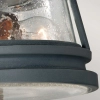 Zewnętrzna LAMPA sufitowa FE-CHELSEAHBR-F Elstead FEISS metalowa OPRAWA okrągła z efektem deszczu IP44 czarna przezroczysta
