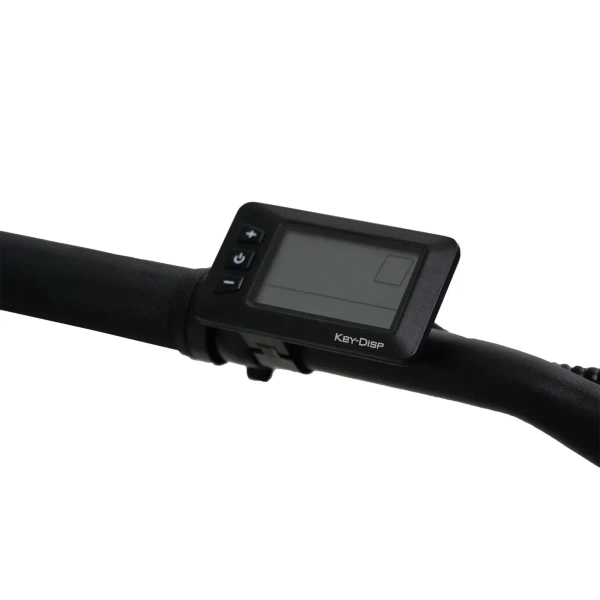 Metalowy rower elektryczny 29" Goldbike 326959 36V 13Ah 250W do 80 km czarny