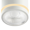 Łazienkowa lampa sufitowa VICI AZ6040 LED 12W 3000-6000K IP44 tuba biały
