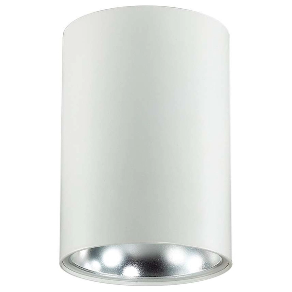 Sufitowa lampa natynkowa NERO C1255-1L WH/S tuba downlight REMO biała