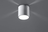 Natynkowa LAMPA sufitowa SL.0355 metalowa OPRAWA plafon tuba biała