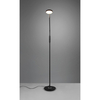 Lampa podłogowa regulowana NEMIO DL132423310 LED 12W 2300-4000K czarny