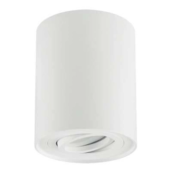 Spot LAMPA sufitowa HARY 03711 Ideus metalowa OPRAWA okrągła tuba downlight natynkowy biały
