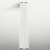 Sufitowa LAMPA downlight ARIDA 7010 Shilo natynkowa OPRAWA reflektorowa do łazienki tuba biała